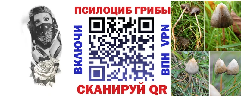 Псилоцибиновые грибы Magic Shrooms  цены   Ардатов 
