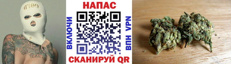 где купить наркотик  Ардатов  Конопля MAZAR 